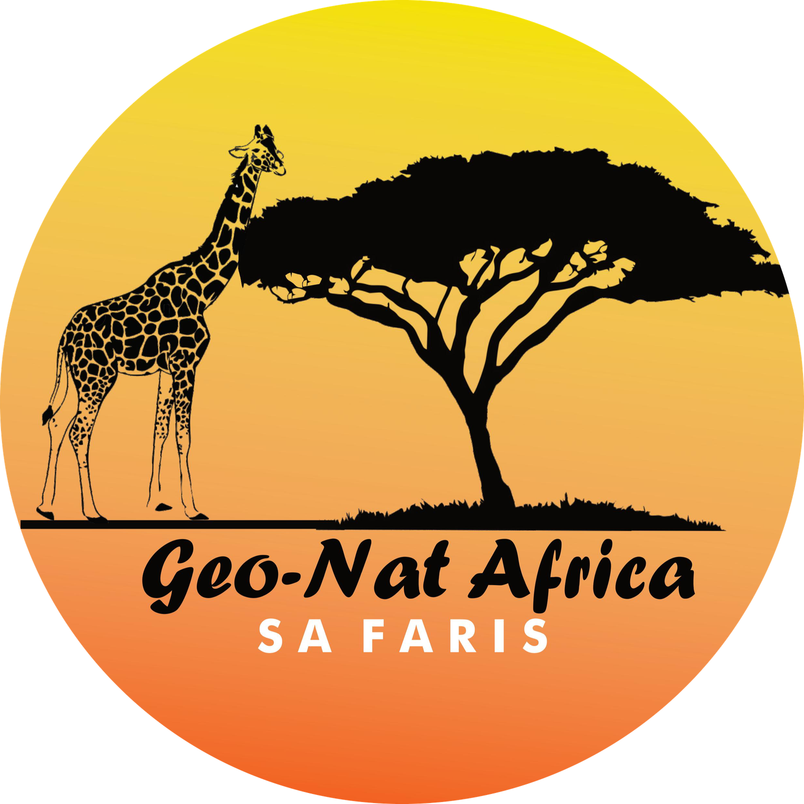 Tours, Travel & Vacation Homes