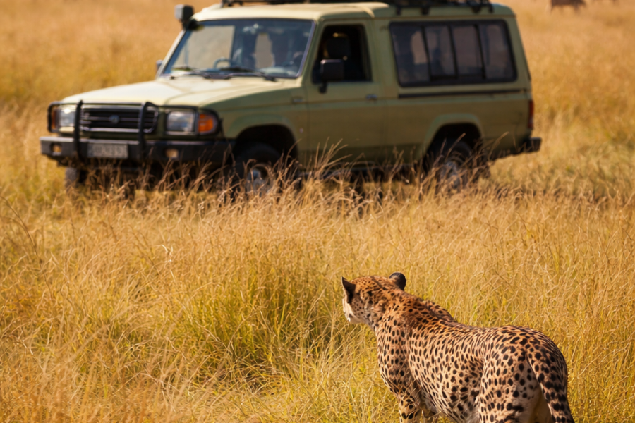 3 days maasai mara luxury safari