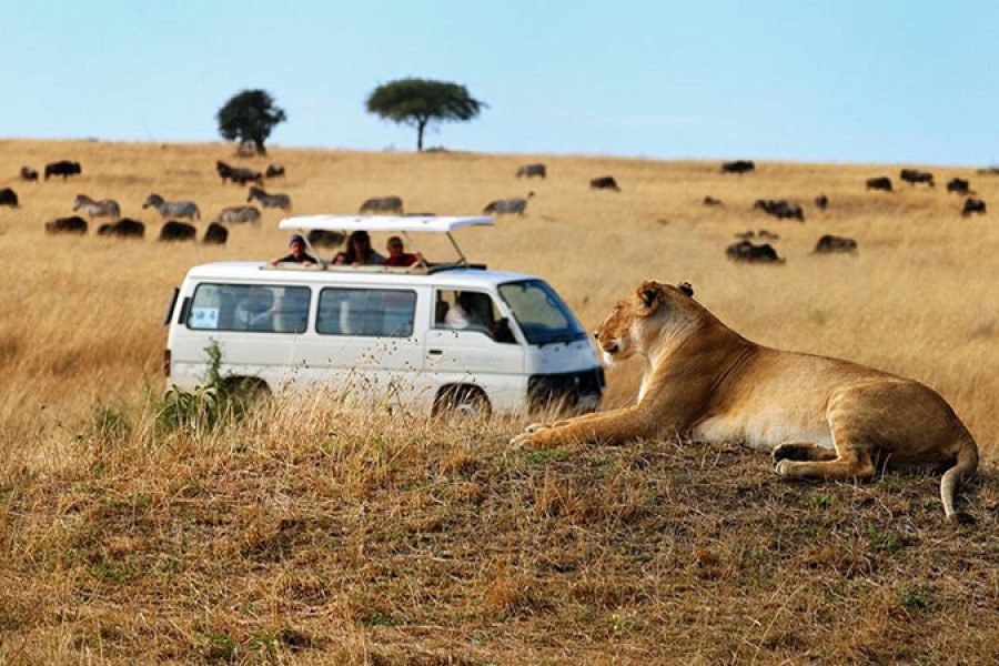 3 Day Masai Mara Private Bush Camp Experience
