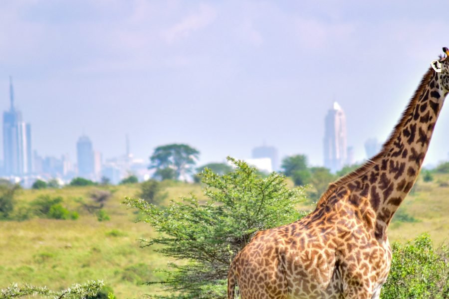 Nairobi National Park