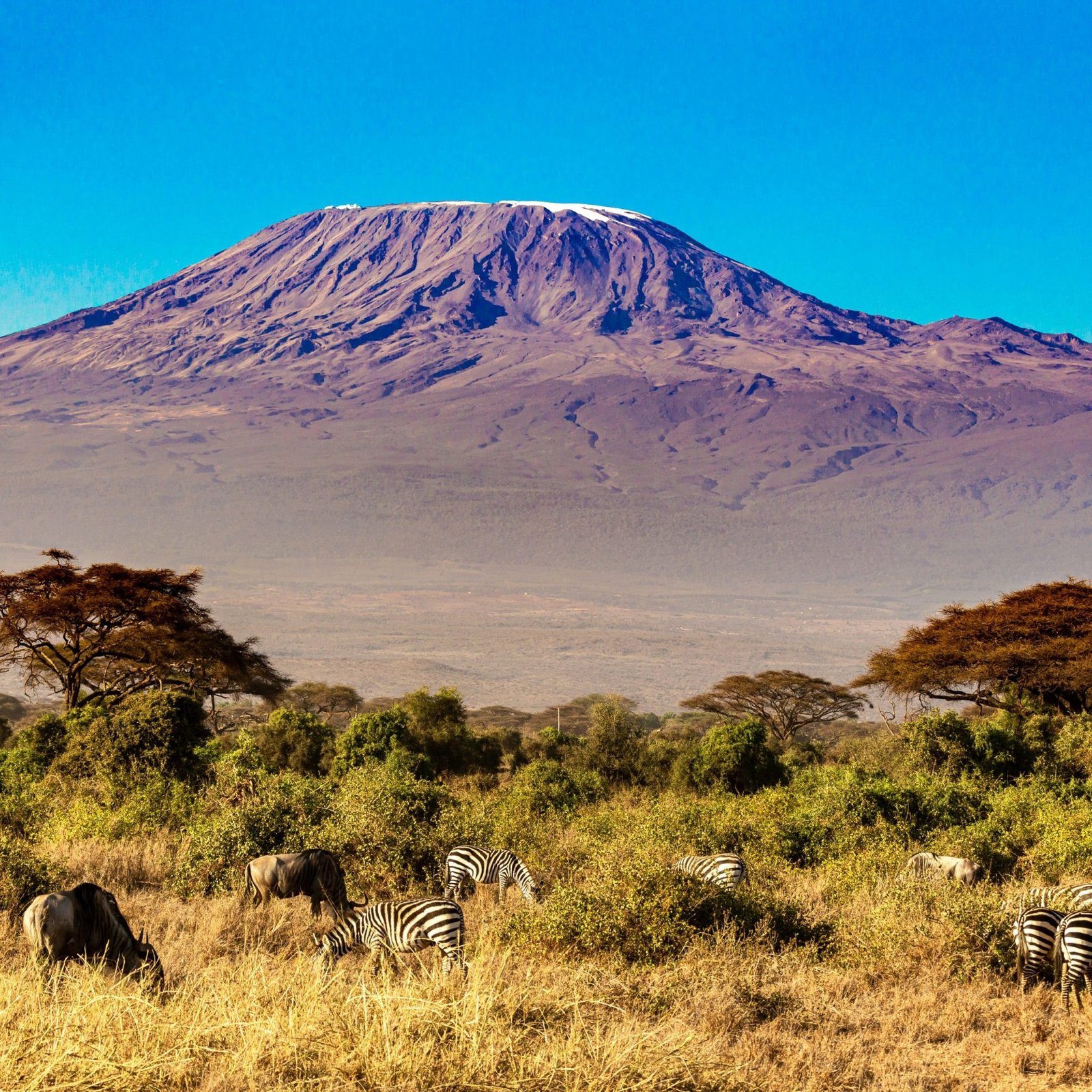 TANZANIA
